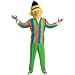 Sesame Street Bert Teen Costume-(38-40) Teen (Teen 38-10)