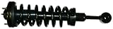 31z8bV7u7qL. SL160  Monroe 171361 Quick Strut Complete Strut Assembly