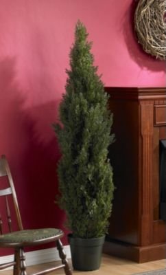 5' Mini Cedar Pine Tree (In-door/Out-door)