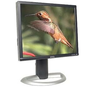 19 Dell 1905FP DVI LCD Monitor (Black Silver) - GRADE B by Dell