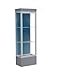 Edge Series Floor Display Case Frame Color: Satin, Base Color: Carbon Mesh, Case Backing: Blue Steel