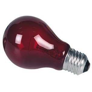 Nightlight Reptile Bulb - Red, 60 Watts