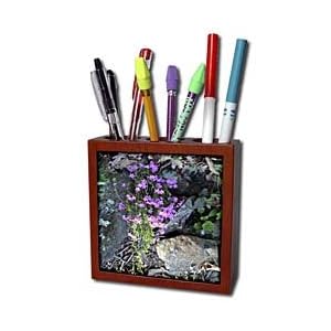 WhiteOak Photography Floral Prints - Pink Phlox Flower over rock - Tile Pen Holders-5 inch tile pen holder