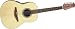 Ovation Applause Series AE35 12 String Acoustic Electric Guitar, Natural