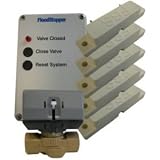 Desert Spring #DS-FSR Flood Stopper System