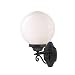 Acclaim 5261BK/WH Havana Collection 1-Light Wall Mount Outdoor Light Fixture, Matte Black