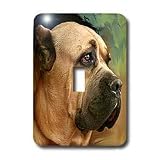 Dogs Cane Corso - Cane Corso - Light Switch Covers - single toggle switch