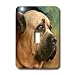 Dogs Cane Corso - Cane Corso - Light Switch Covers - single toggle switch