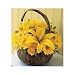 Deliver Flowers in a Get Better Basket