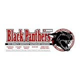 Black Panther Swiss Bearings - Bearings