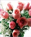 12 Long Stemmed Pink Roses