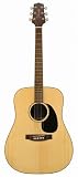 Takamine G530SS Dreadnought Solid Top / Back Acoustic Guitar