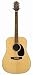 Musical Instruments : Takamine G530SS Dreadnought Solid Top / Back Acoustic Guitar