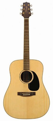 Childrens Toyshop  Musical Instruments : Takamine G530SS Dreadnought Solid Top / Back Acoustic Guitar