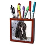 Dogs Poodle - Black and white Toy Poodle - Tile Pen Holders-5 inch tile pen holder