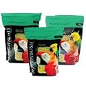 Roudybush Daily Maintenance Medium Bird Food