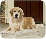 Eigenschaften Fiddler`s Elbow Golden Retriever / Tierisches Designer Mouse Pad Golden Retriever