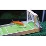 R2 Solutions R2 Fish School Complete Fish Training Kit
