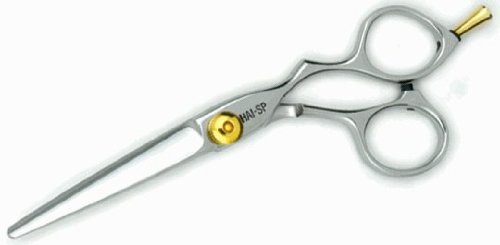 Hairart SP Shear with 6 (AB60)