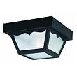 Westinghouse Light B 66822 Outdoor Fixture