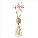 Vanilla Scent Reed Diffuser