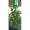 Felknor Ventures FV504C Topsy Turvy Upside-Down Hanging Tomato Planter