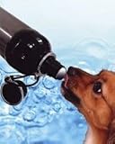 31zCuHs6IfL. SL160  Good Life Water Bottle  Bones