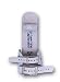 Sporting Goods : English Bulldog Mens Ring Buckle