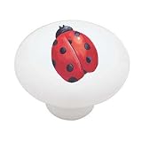 Little Ladybug Decorative High Gloss Ceramic Drawer Knob