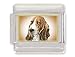 BASSET HOUND Dog Italian Charm