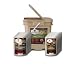 Wise 56 Meal One Month Freeze Dried Food Supply