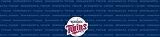 Minnesota Twins Team Auto Visor Decal