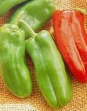Organic Red Marconi Pepper Seeds