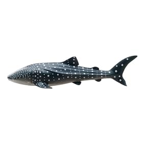 Whale Shark Marine Life Toy Model by Favorite Collection