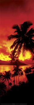 Sunset in Fiji (Palm Trees, Red Sky) Black Wood-Mounted Art Poster Print – 12″ X 36″