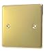POLISHED BRASS 1 GANG BLANK PLATE C401PBW