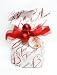 Fiasconaro Traditional Panettone 500 gram Italian Christmas Cake