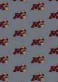 Minnesota Golden Gophers 7 8 x 10 9 Team Repeat Area Rug