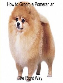 image link - - B002AD3ST0