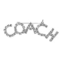 Rhinestone Coach Pin