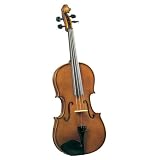 Instruments Stringed Instruments