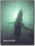 Wake of the whale