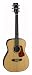 Cort L100C Concert Acoustic Guitar,  Natural Satin