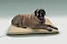 K and H X-Large Ortho Thermo Bed with Green Bottom