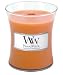 woodwick candles pumpkin
31zF2kIxQfL. SL75 woodwick candles pumpkin