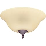 Hunter Fan Company Hunter Fan Company 28640 12-Inch Bowl Light - Amber with Weathered Bronze, Antique Brass Finial