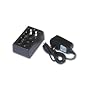 Tenergy TL-100 Universal Li-Ion Charger for 18650, RCR123A cells