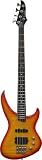 Acoustic Bass Guitars
