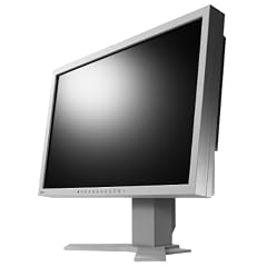 EIZO S2202WH-GY 55.9 cm (22 Zoll) widescreen TFT Monitor (DVI,VGA, Kontrastverh�ltnis 1000:1, Reaktionszeit 5ms) lichtgrau