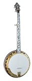 Recording King Artist Supreme Resonator Banjo, Sunburst Finish - B001BM3WHY